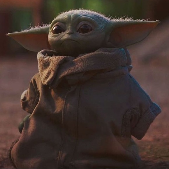 Meet your Posher, Lily - Picture 1 of 1